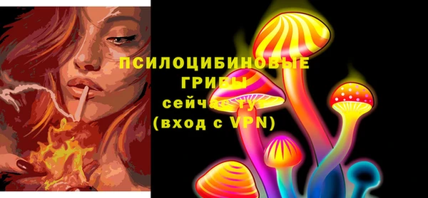крисы Киренск