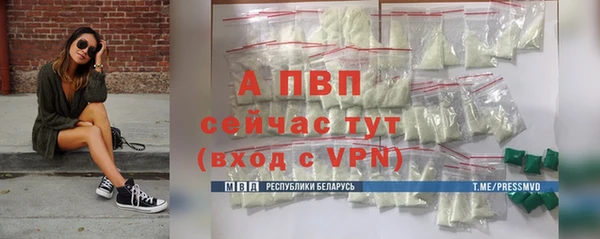 крисы Киренск