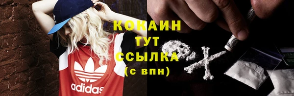 крисы Киренск