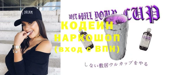 крисы Киренск
