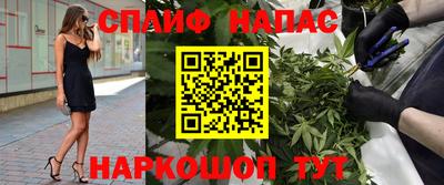 шишки Пенза