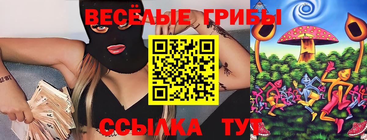 Галлюциногенные грибы Cubensis  Галлюциногенные грибы Psilocybine cubensis  цена   Орск  Вход с VPN 