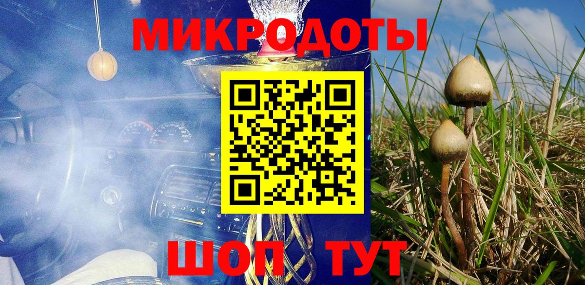 цена наркотик  Вход с VPN  Орск  Галлюциногенные грибы Psilocybe 