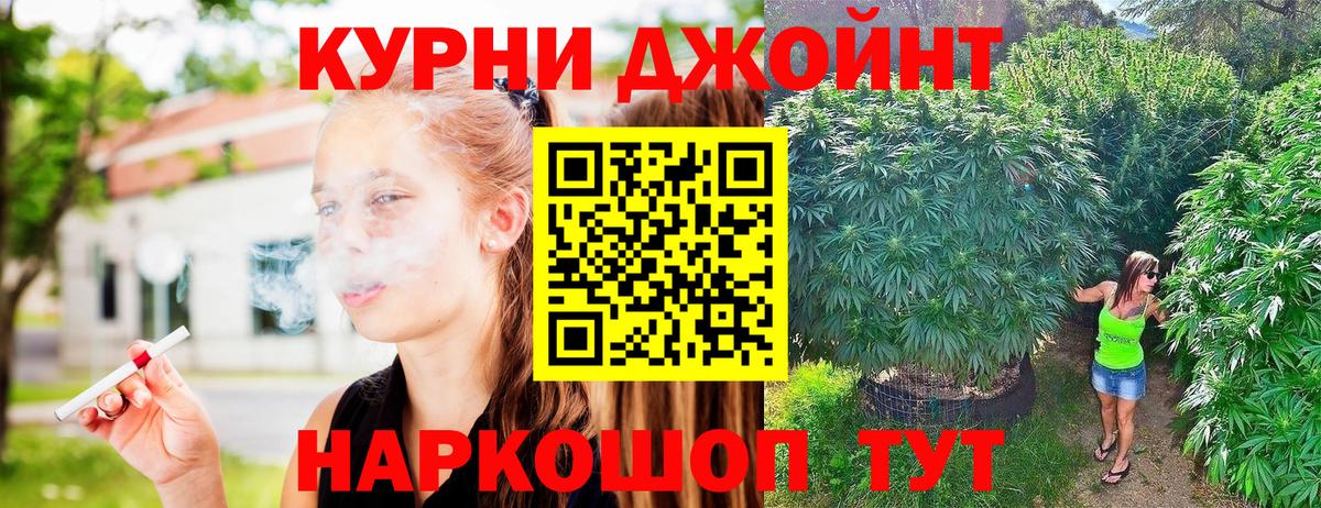 Канабис сатива Орск